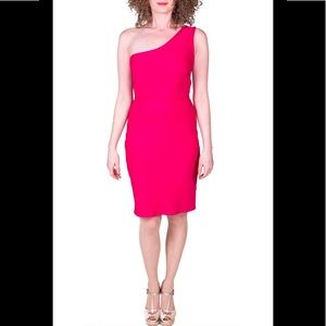 BCBGMAXAZRIA Pink Dress